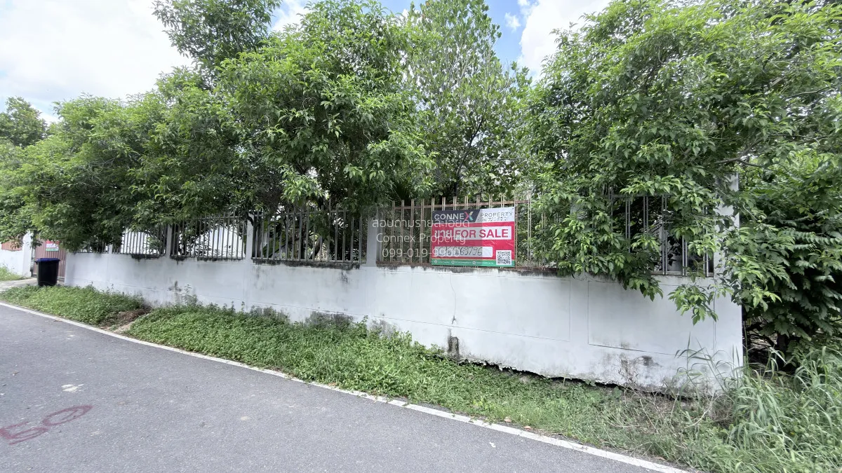 ขายที่ดินเปล่าถมแล้ว บางใหญ่ บางใหญ่ นนทบุรี CX-162800 1