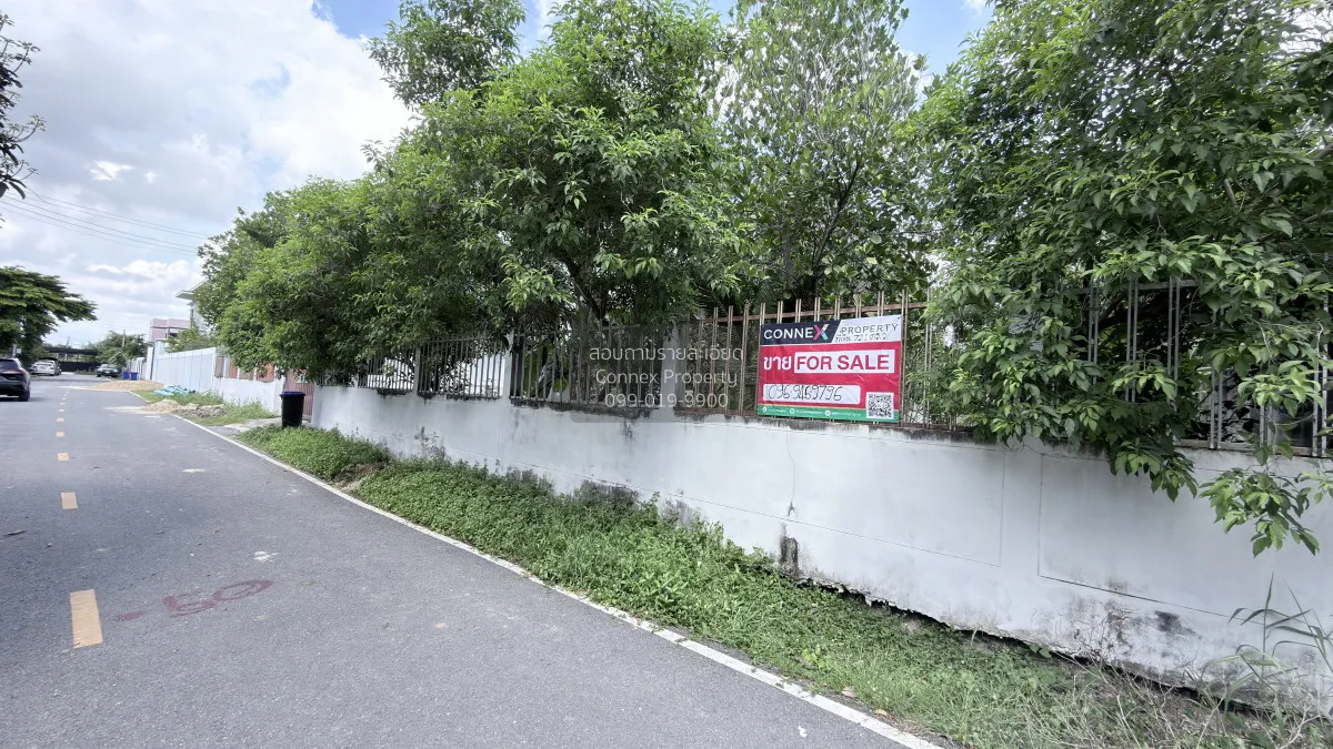 ขายที่ดินเปล่าถมแล้ว บางใหญ่ บางใหญ่ นนทบุรี CX-162800 2