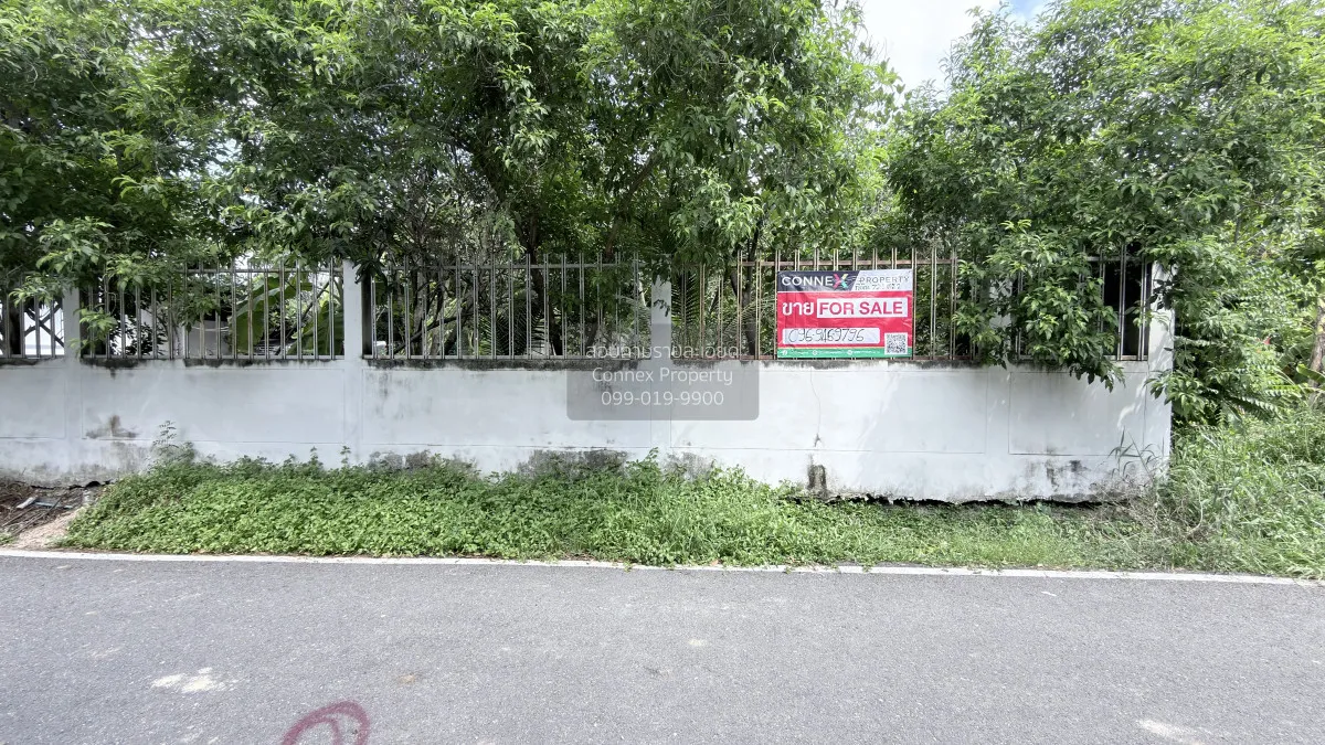 ขายที่ดินเปล่าถมแล้ว บางใหญ่ บางใหญ่ นนทบุรี CX-162800 3