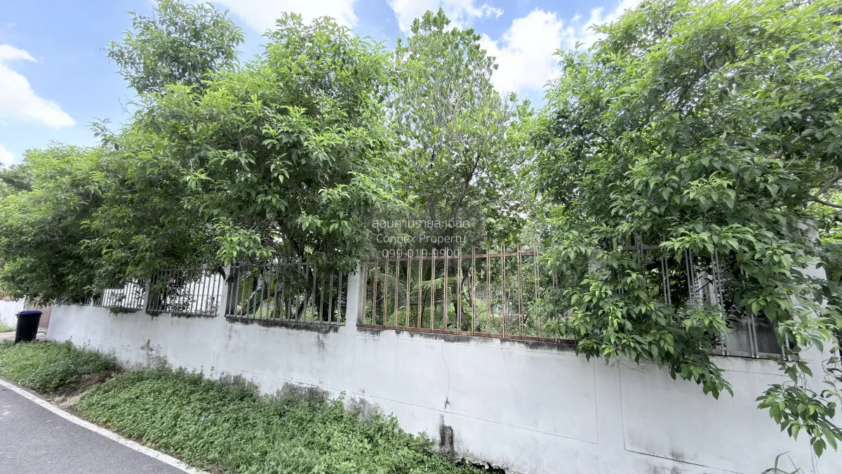 ขายที่ดินเปล่าถมแล้ว บางใหญ่ บางใหญ่ นนทบุรี CX-162800 4