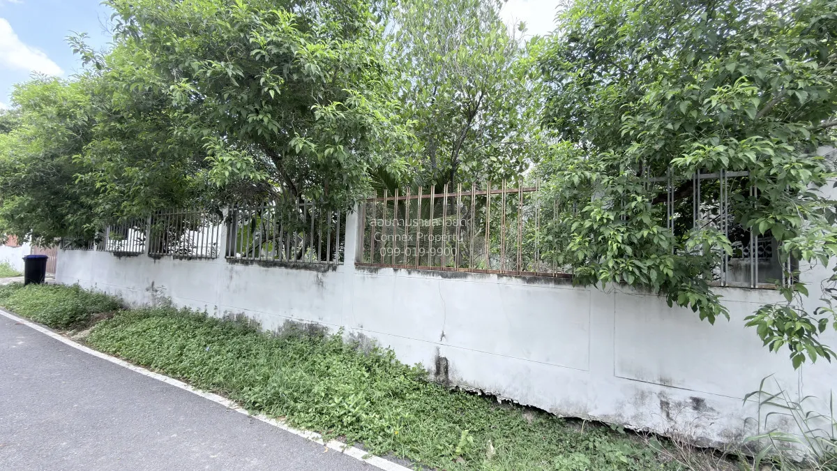 ขายที่ดินเปล่าถมแล้ว บางใหญ่ บางใหญ่ นนทบุรี CX-162800