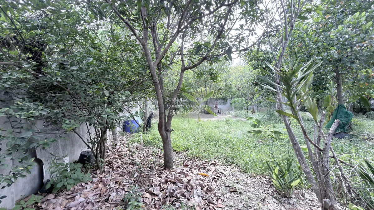 ขายที่ดินเปล่าถมแล้ว บางใหญ่ บางใหญ่ นนทบุรี CX-162800