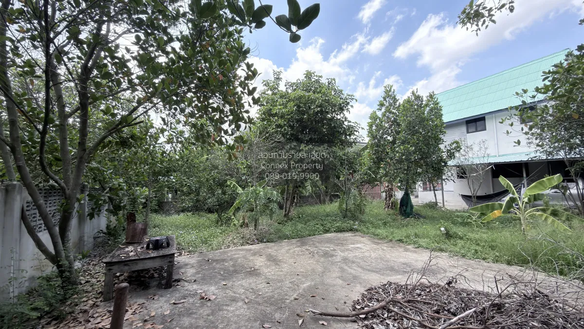 ขายที่ดินเปล่าถมแล้ว บางใหญ่ บางใหญ่ นนทบุรี CX-162800