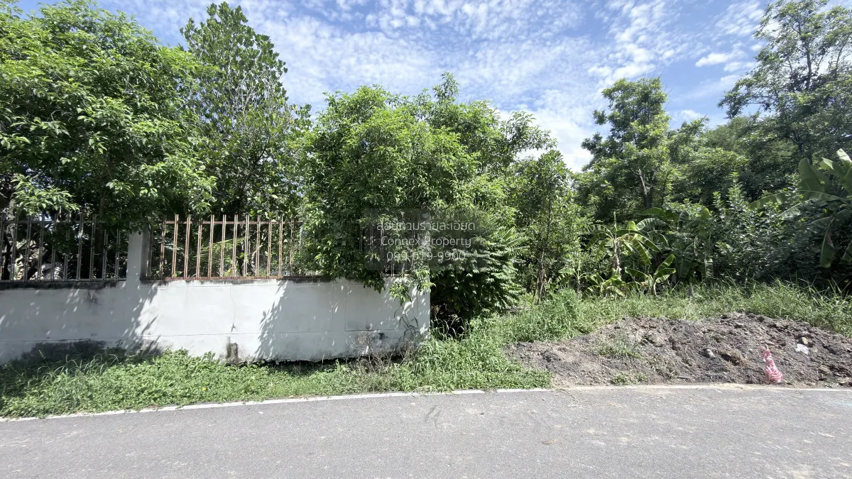 ขายที่ดินเปล่าถมแล้ว   บางใหญ่ บางใหญ่ นนทบุรี CX-162811 4