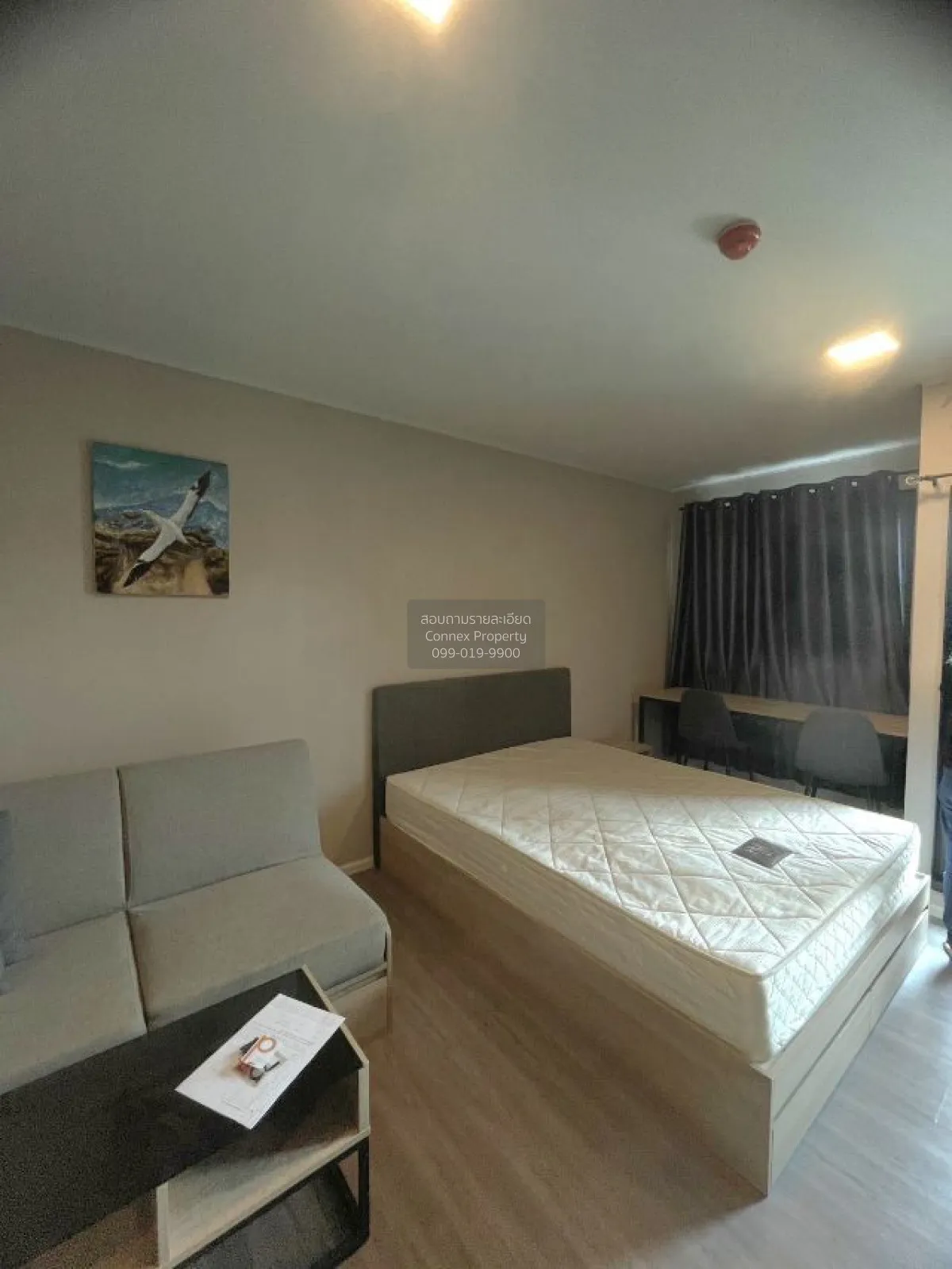 For Rent Condo , Dcondo Campus Hideaway , Khlong Nueng , khlong L