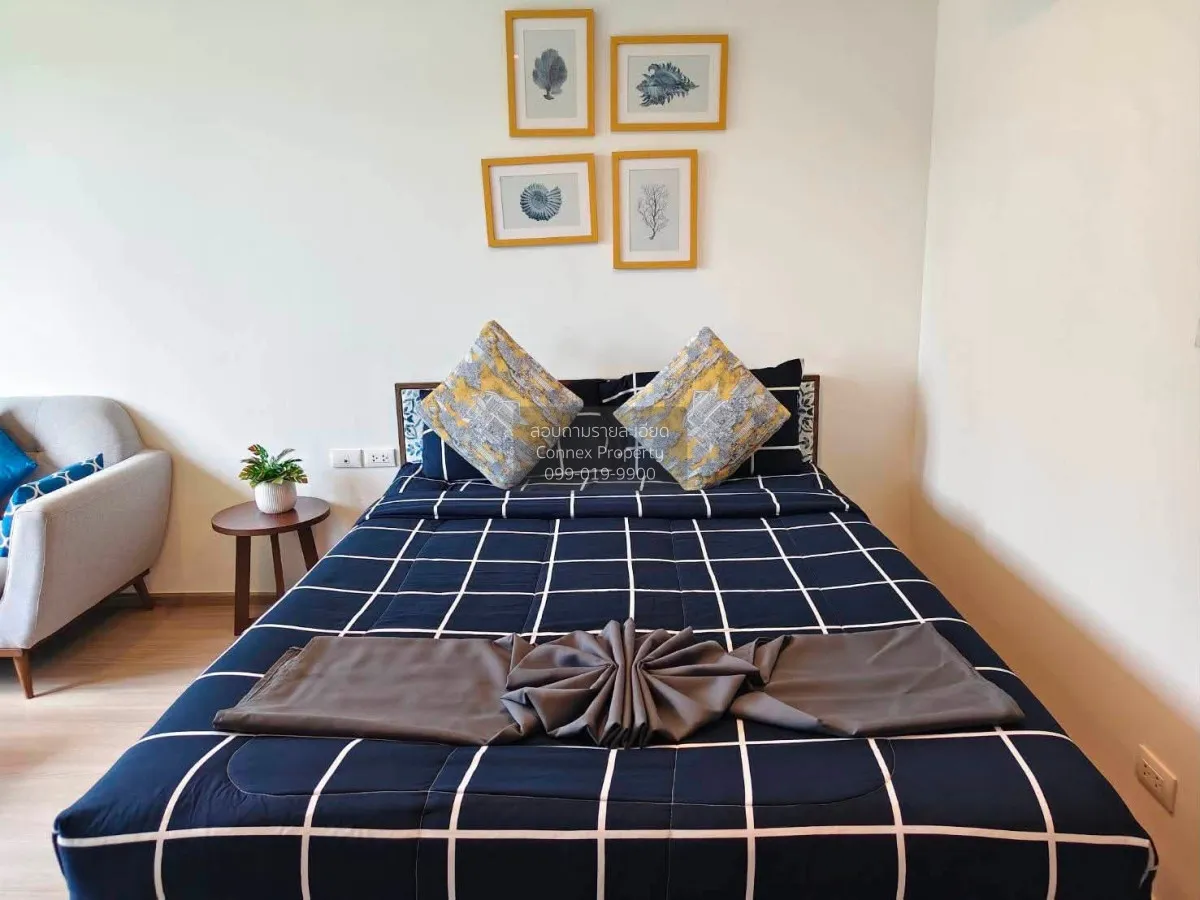 For Rent Condo , The Base Central - Phuket , Wichit , Mueang Phuk 3