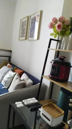 For Rent Condo , Oka Haus Sukhumvit 36 , BTS-Thong Lo , Khlong Tan , Khlong Toei , Bangkok , CX-164770