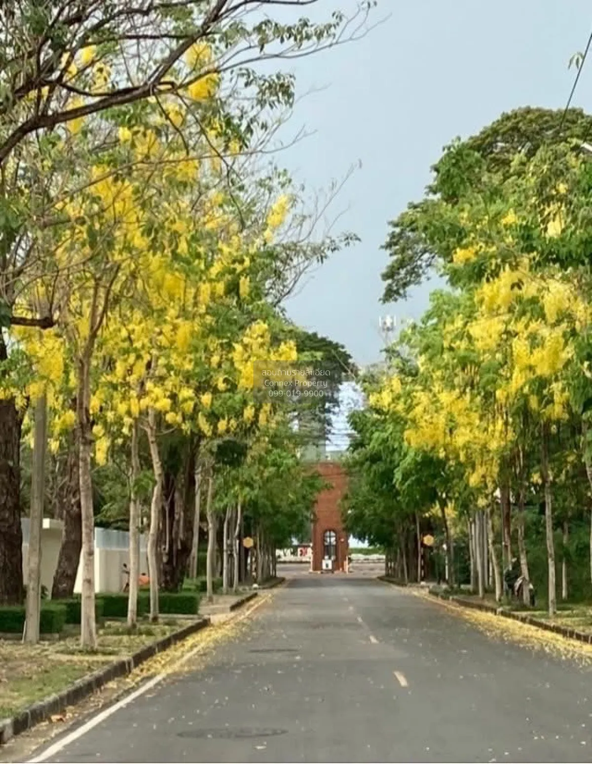 ขายบ้าน  นวธานี เรสซิเดนซ์ วิวสวย หน้ากว้าง รามอินทรา เขต คันนายา