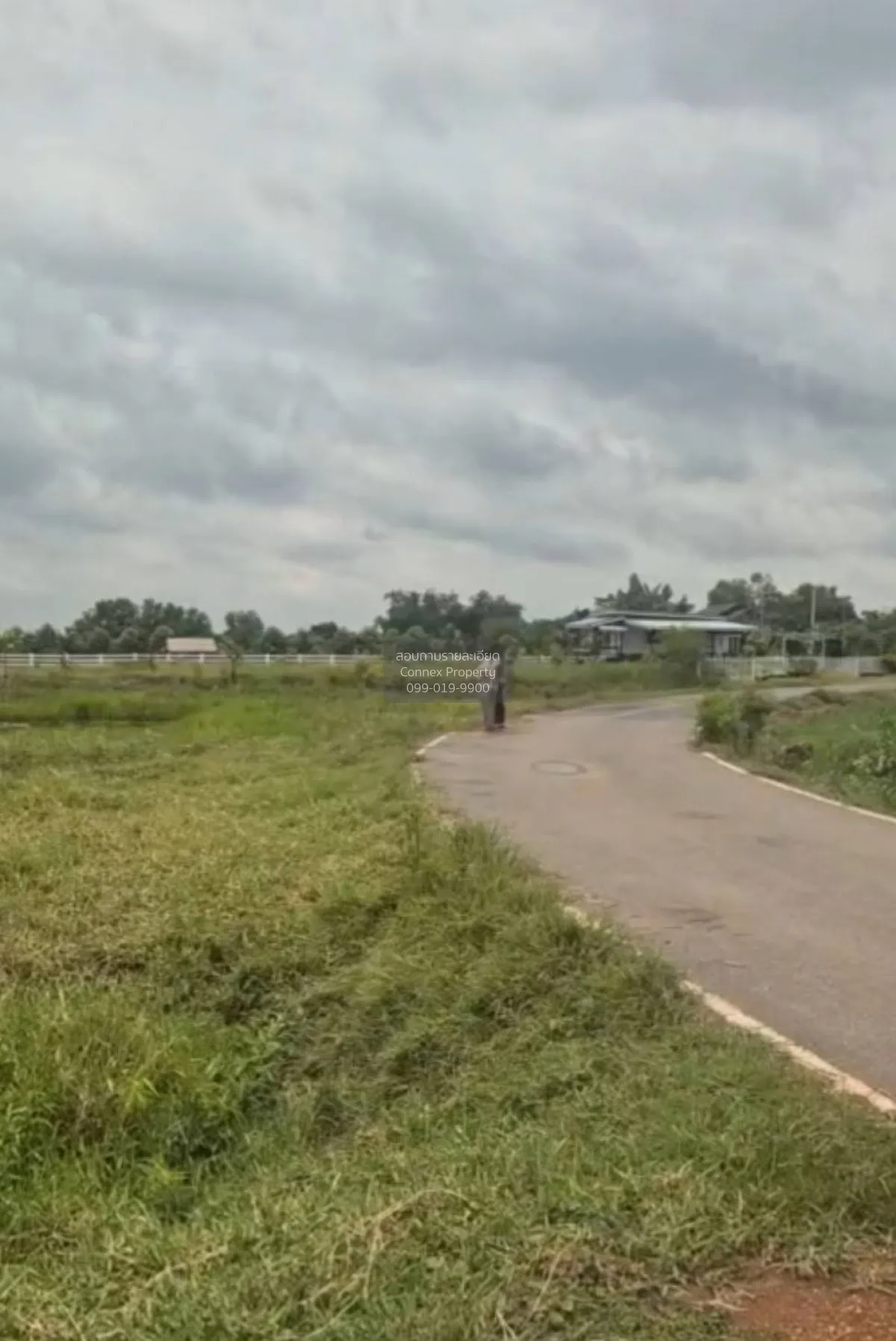 ขายที่ดินเปล่าตัวเมืองนครนายก ดงละคร เมืองนครนายก นครนายก CX-1658 2