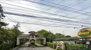เช่าบ้าน  บ้านชัยพฤกษ์ บางแวก บางไผ่ เขต บางแค กรุงเทพ CX-165989