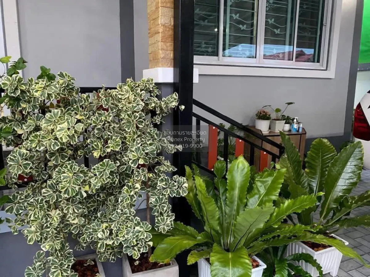 ขายบ้านเพชรเกษม110 หนองค้างพลู เขต หนองแขม กรุงเทพ CX-165998