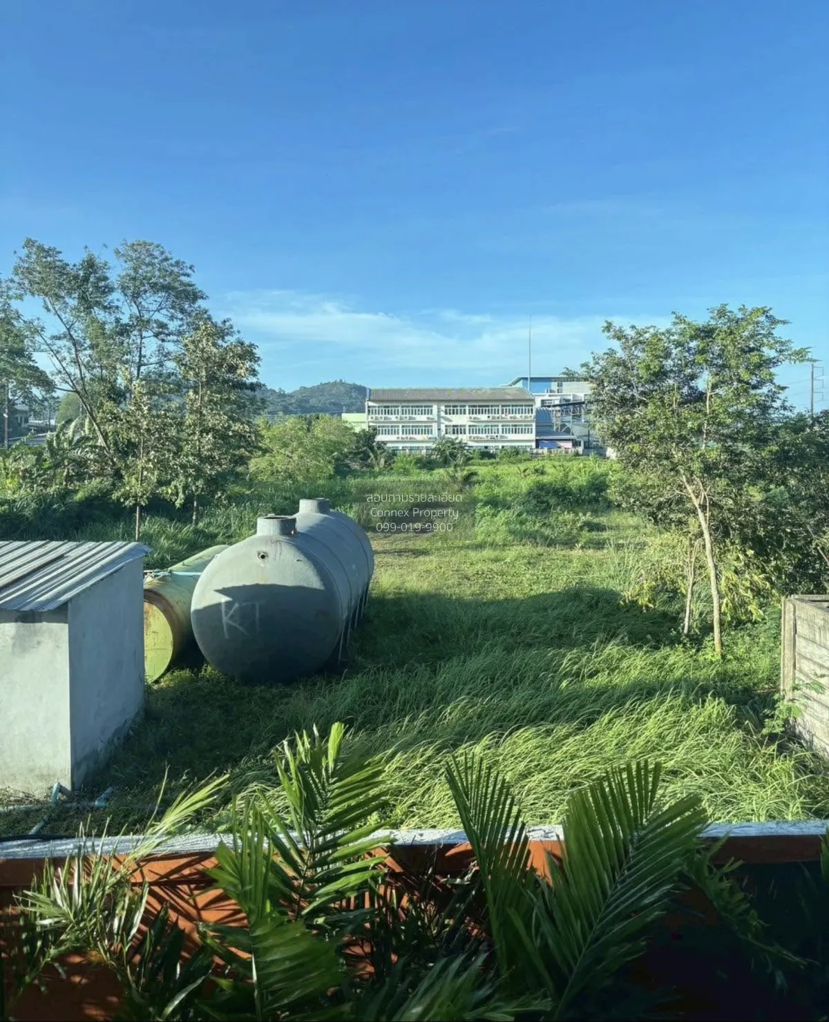 For Rent Condo , The Cube Amaze Srisoonthon , Si Sunthon , Thalan