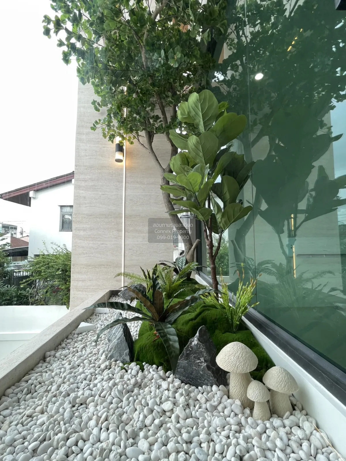 ขายบ้านเดี่ยวโชคชัย4 ที่ดินใหญ่100 ตร.ว. วิวสวย ชั้นสูง หน้ากว้าง