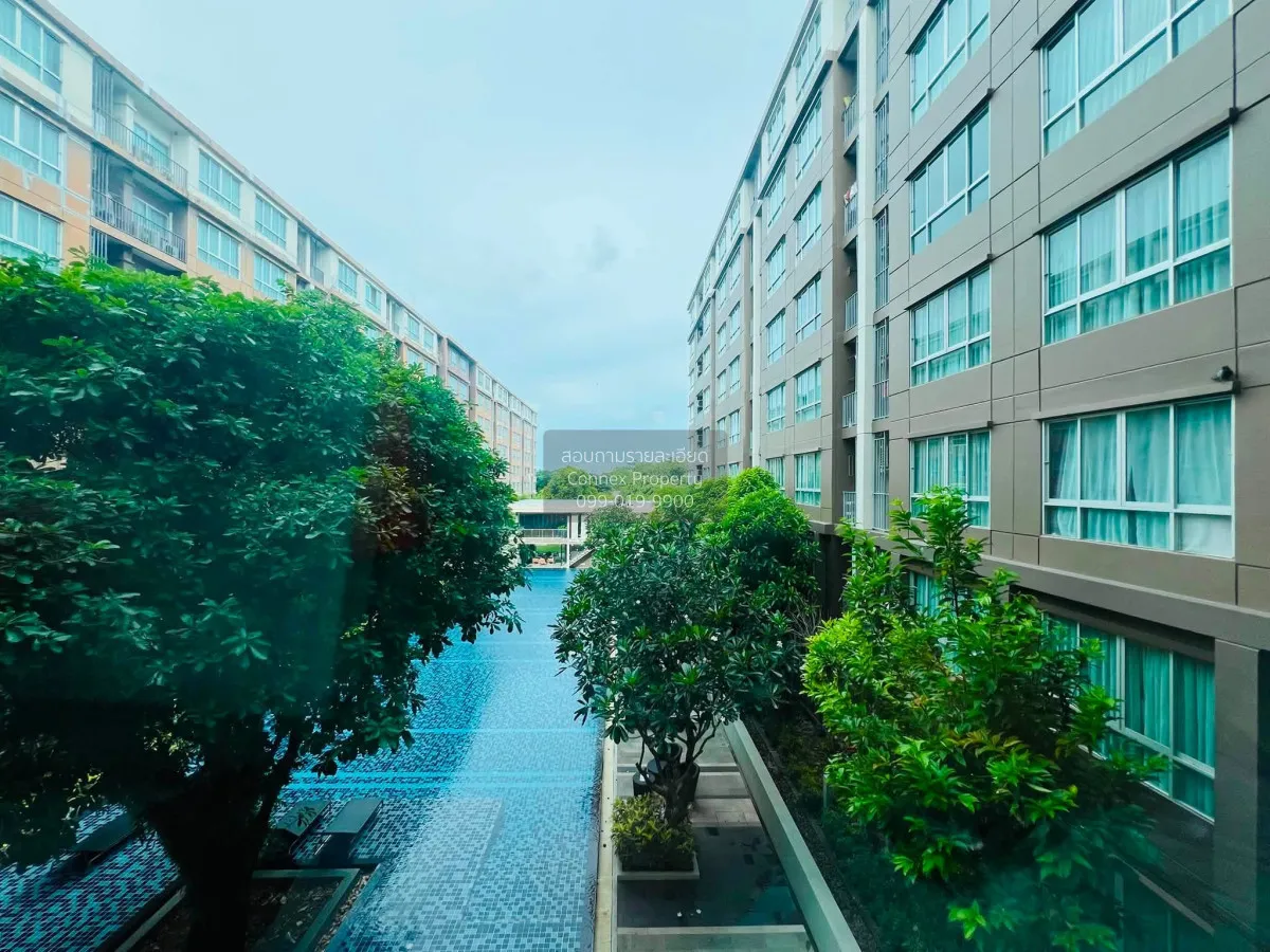 ขายคอนโด  ดีคอนโด แคมปัส รีสอร์ท กู้กู รัษฎา เมืองภูเก็ต ภูเก็ต C