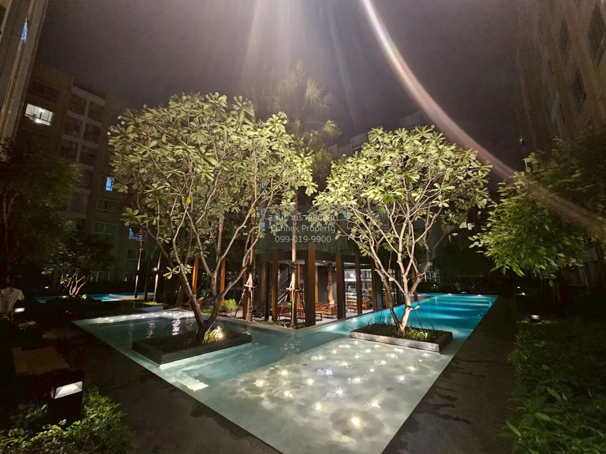 For Rent Condo , Dcondo Tann Charan , Bang Khun Si , Bangkok Noi 