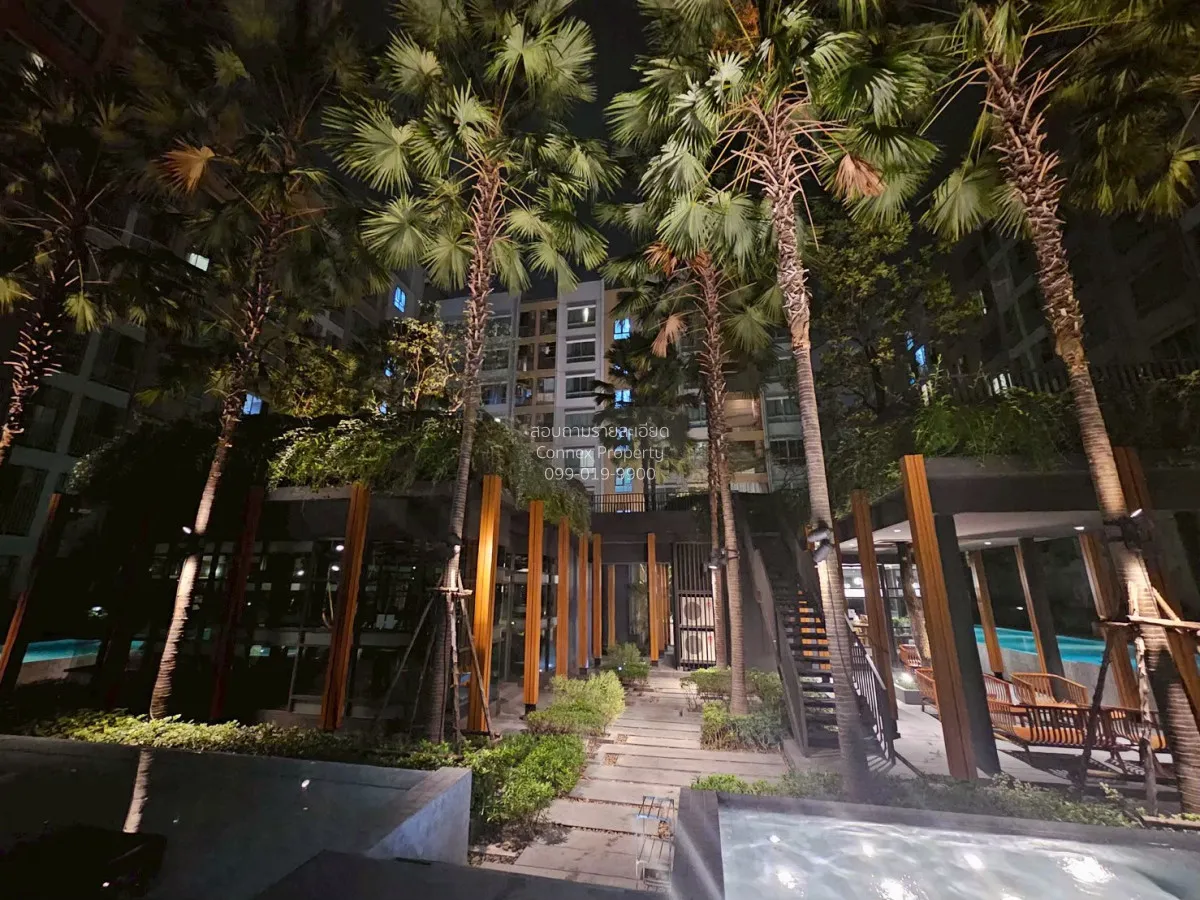For Rent Condo , Dcondo Tann Charan , Bang Khun Si , Bangkok Noi 