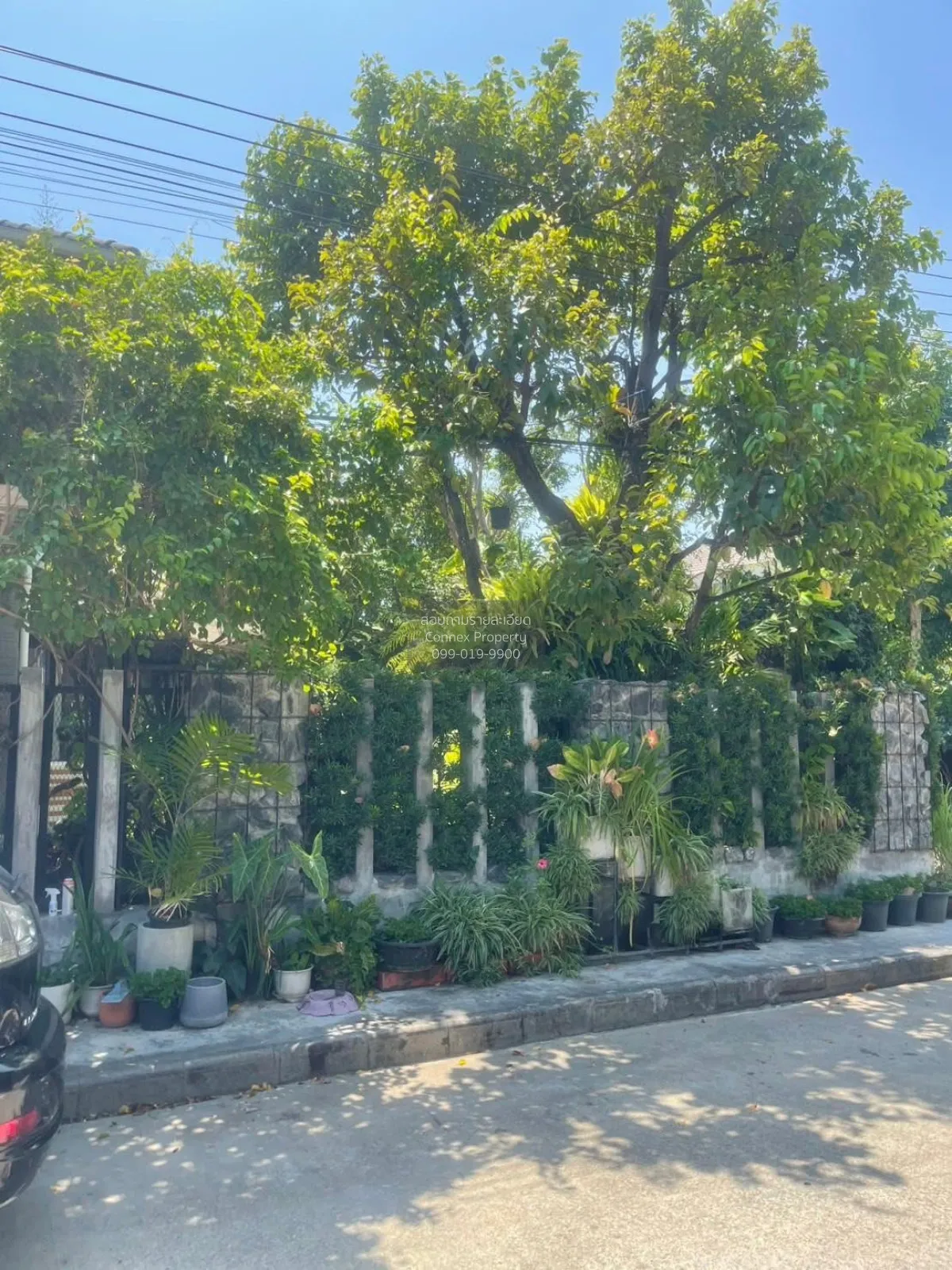 ขายบ้าน  เดอะ แพลนท์ พัฒนาการ 38 ห้องมุม สวนหลวง เขต สวนหลวง กรุง