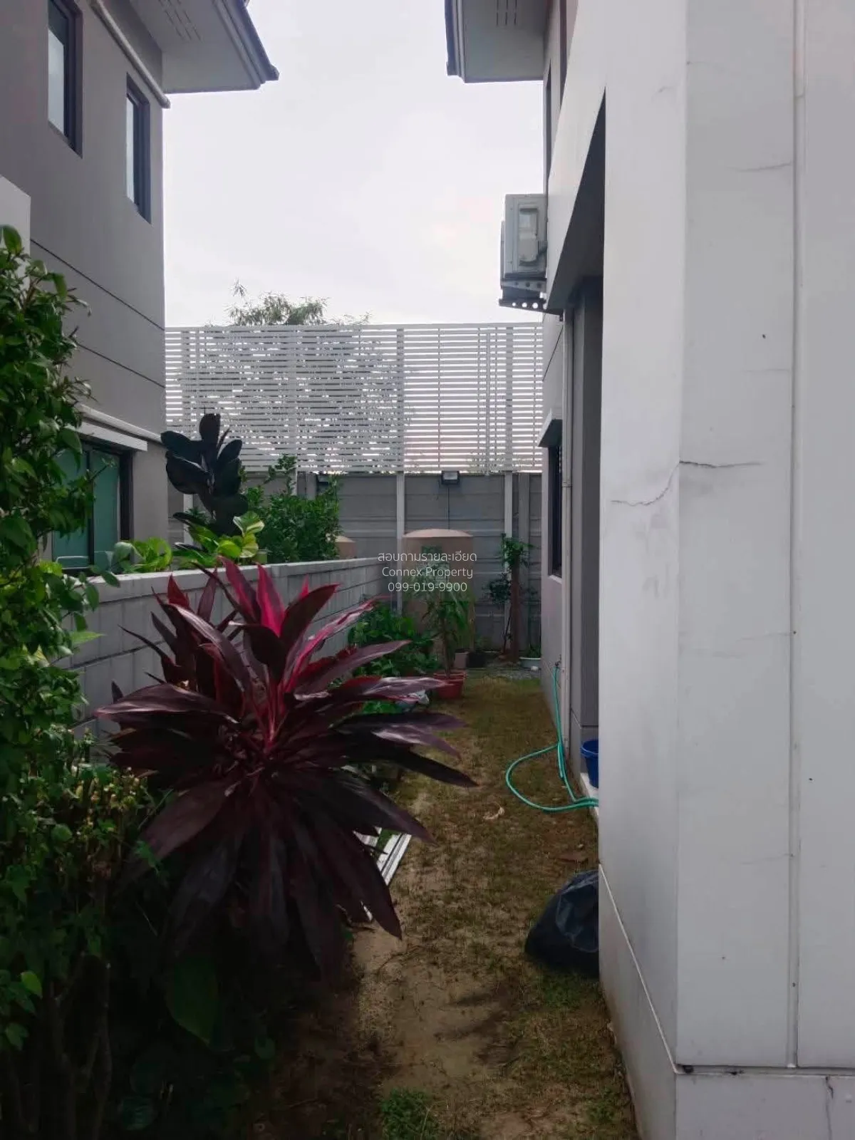 เช่าบ้าน  เดอะ ซิตี้ รามอินทรา 2 ออเงิน เขต สายไหม กรุงเทพ CX-167