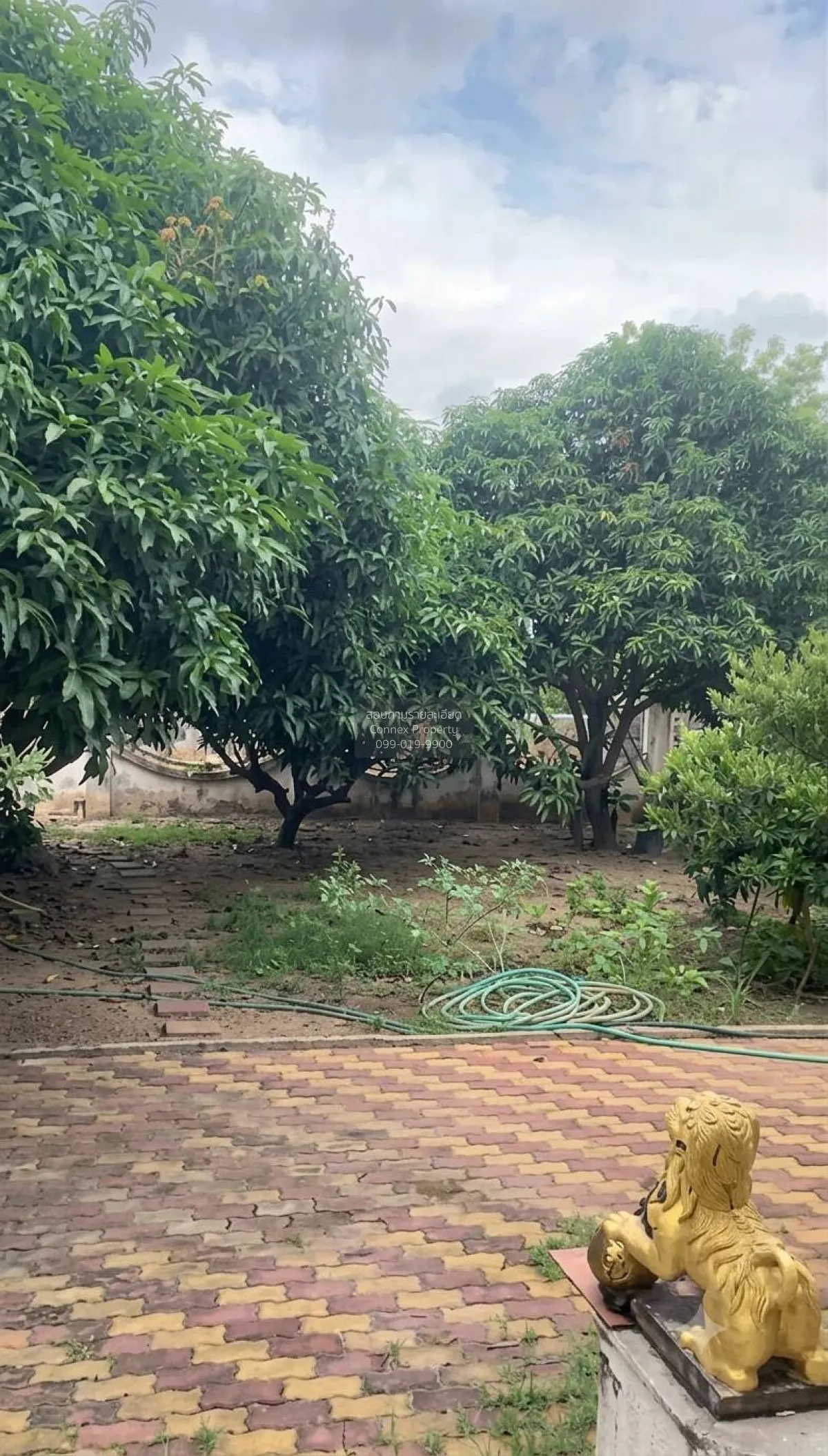 ขายบ้านคลองสี่ คลองหลวงติดถนน คลองสี่ คลองหลวง ปทุมธานี CX-167681 4