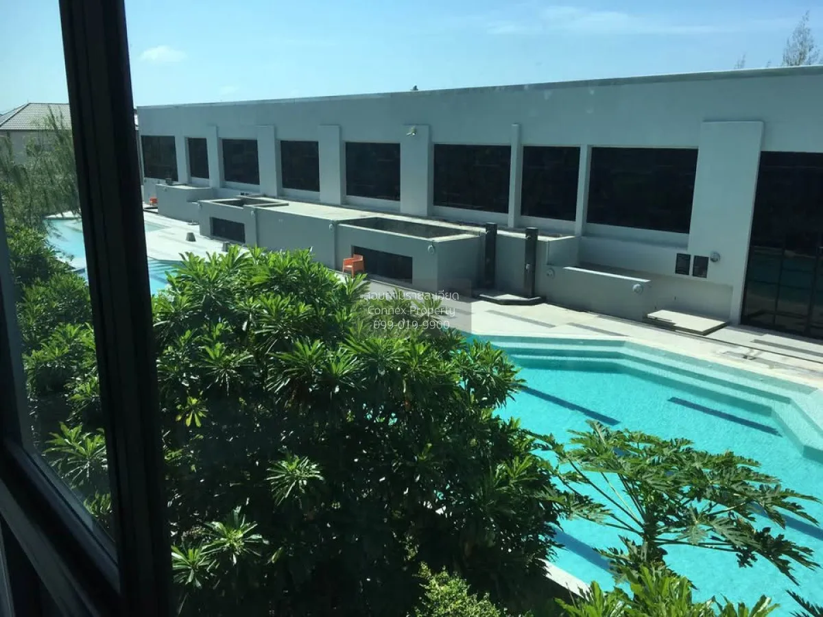 For Rent Condo , Connext Condo Phuket , Talat Nuea , Mueang Phuke