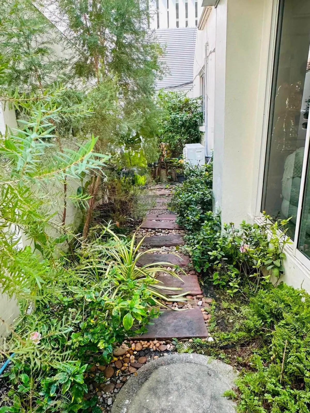 เช่าบ้านเช่า แถวพร้อมพงษ์ สุขุมวิท 31  วิวสวย รีโนเวทใหม่ คลองตัน