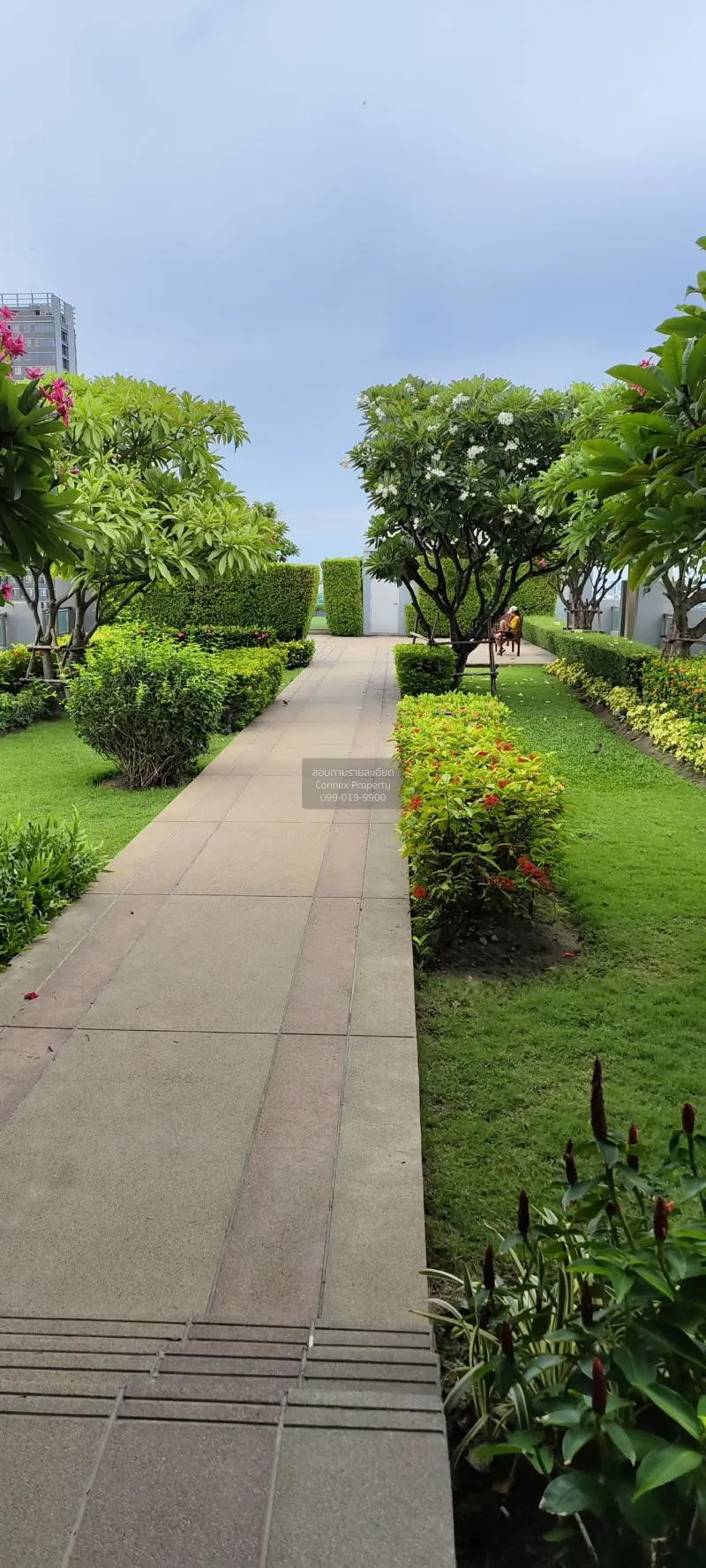 เช่าคอนโด  คิวเฮ้าส์ สุขุมวิท 79 BTS-อ่อนนุช พระโขนง เขต วัฒนา กร