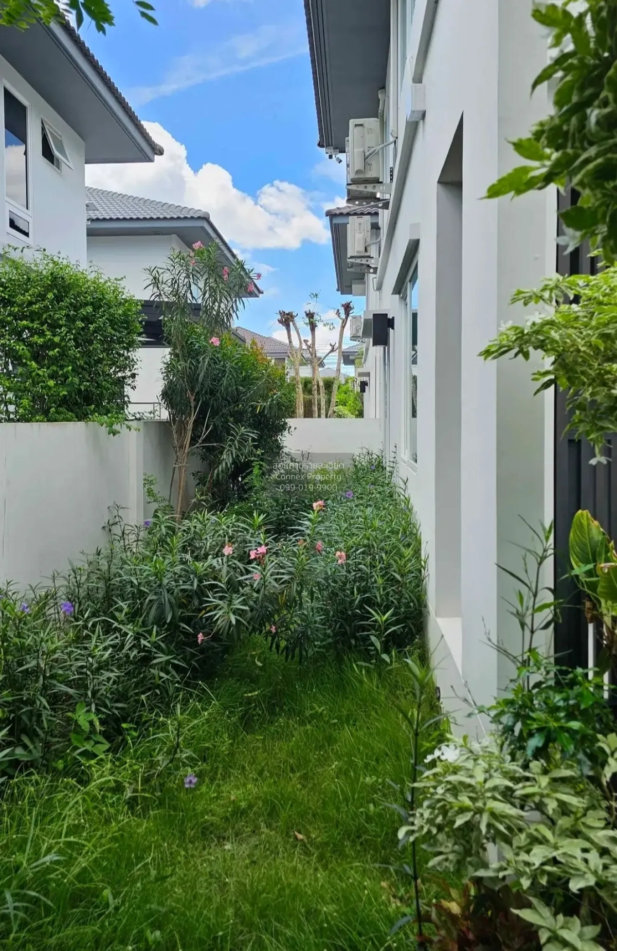 For Rent House , Mantana 2 Motorway - New Krungthepkreetha , Khlo