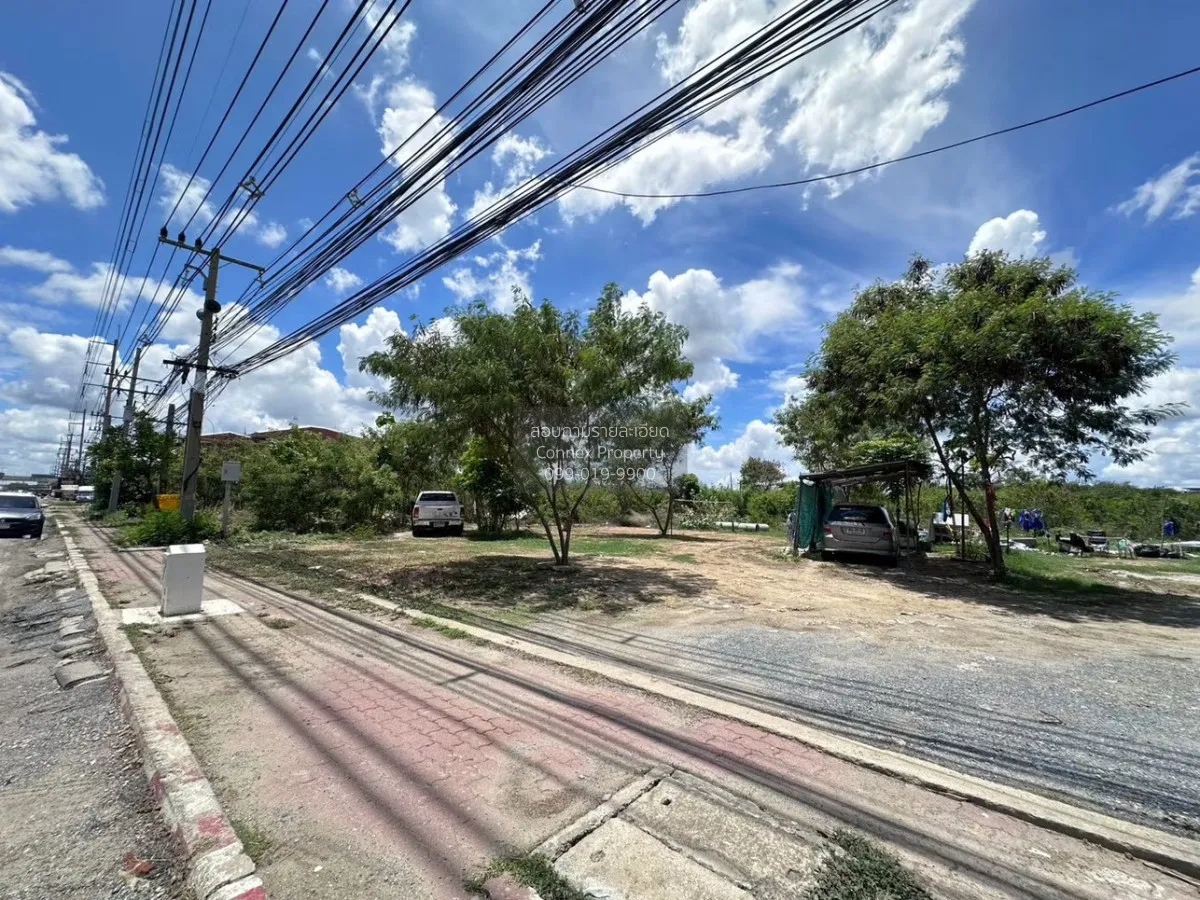 ขายที่ดินเปล่า สามพราน นครปฐม CX-169866 1