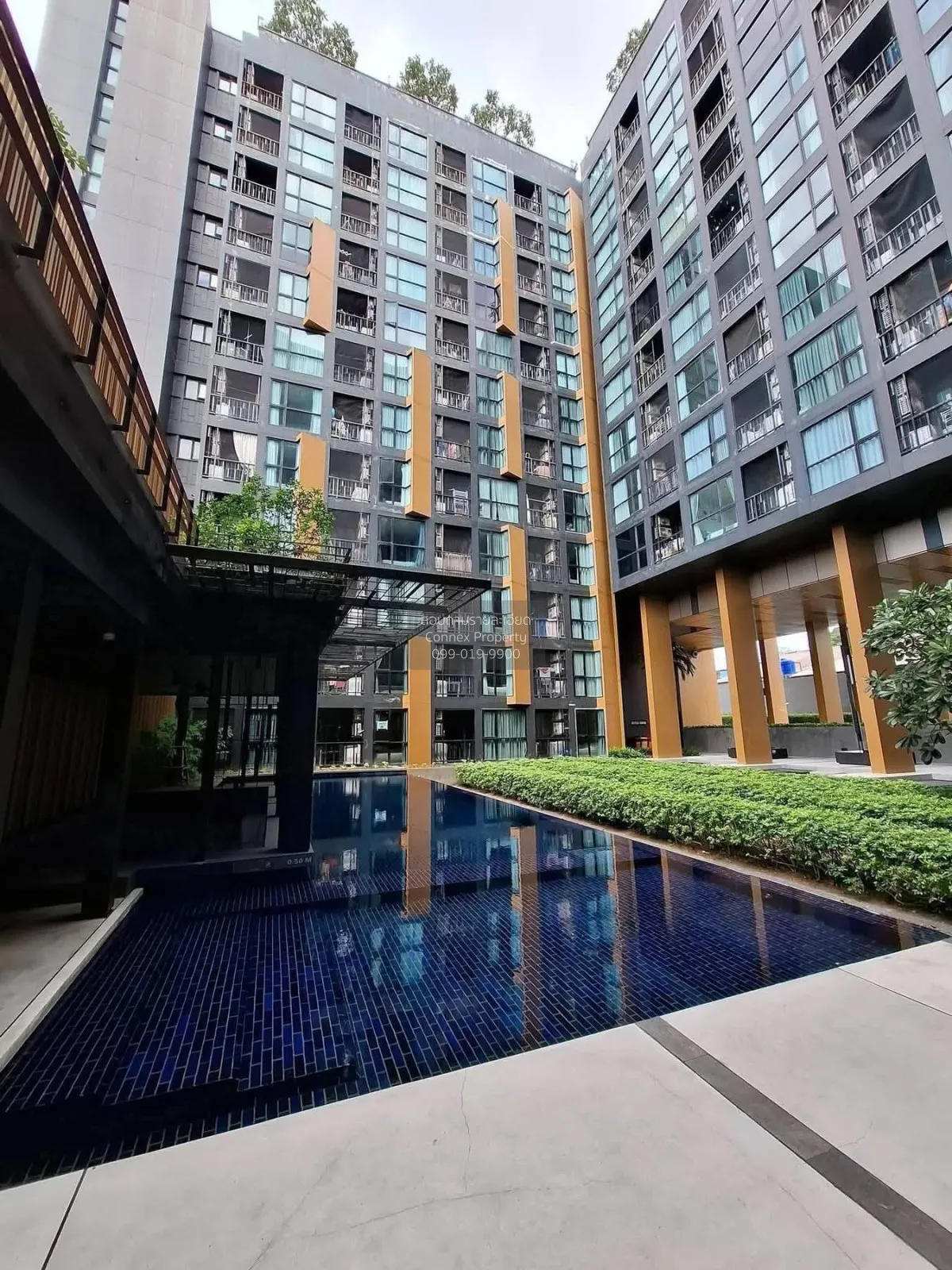 เช่าคอนโด  เดอะเบส ไฮท์ ภูเก็ต ตลาดใหญ่ เมืองภูเก็ต ภูเก็ต CX-169