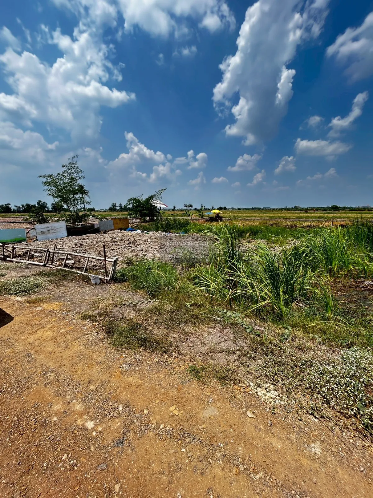 For Sale Land for sale at Khlong 8,  Wat Don Yai , Lam Luk Ka , L 2