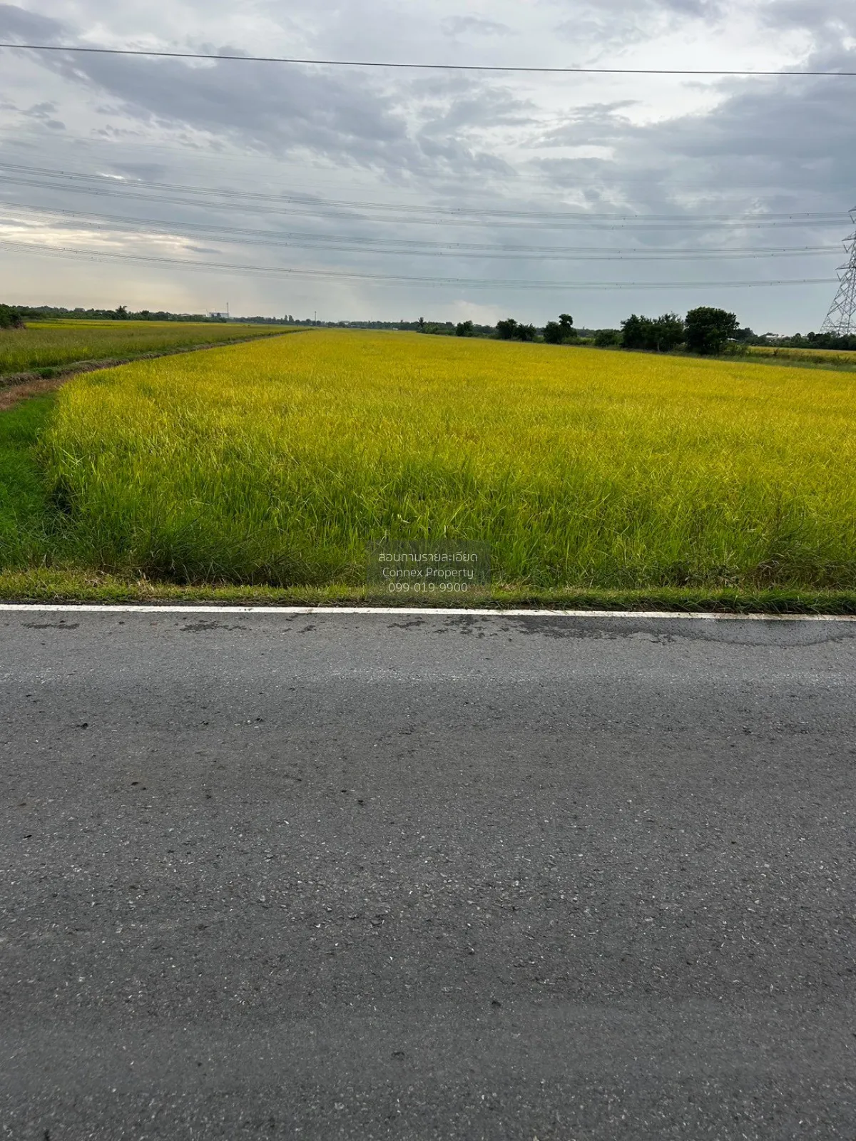 For Sale Land for sale at Khlong 8,  Wat Don Yai , Lam Luk Ka , L 3