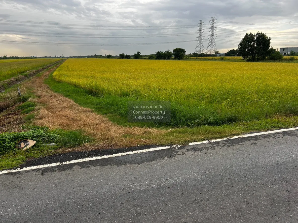 For Sale Land for sale at Khlong 8,  Wat Don Yai , Lam Luk Ka , L 4