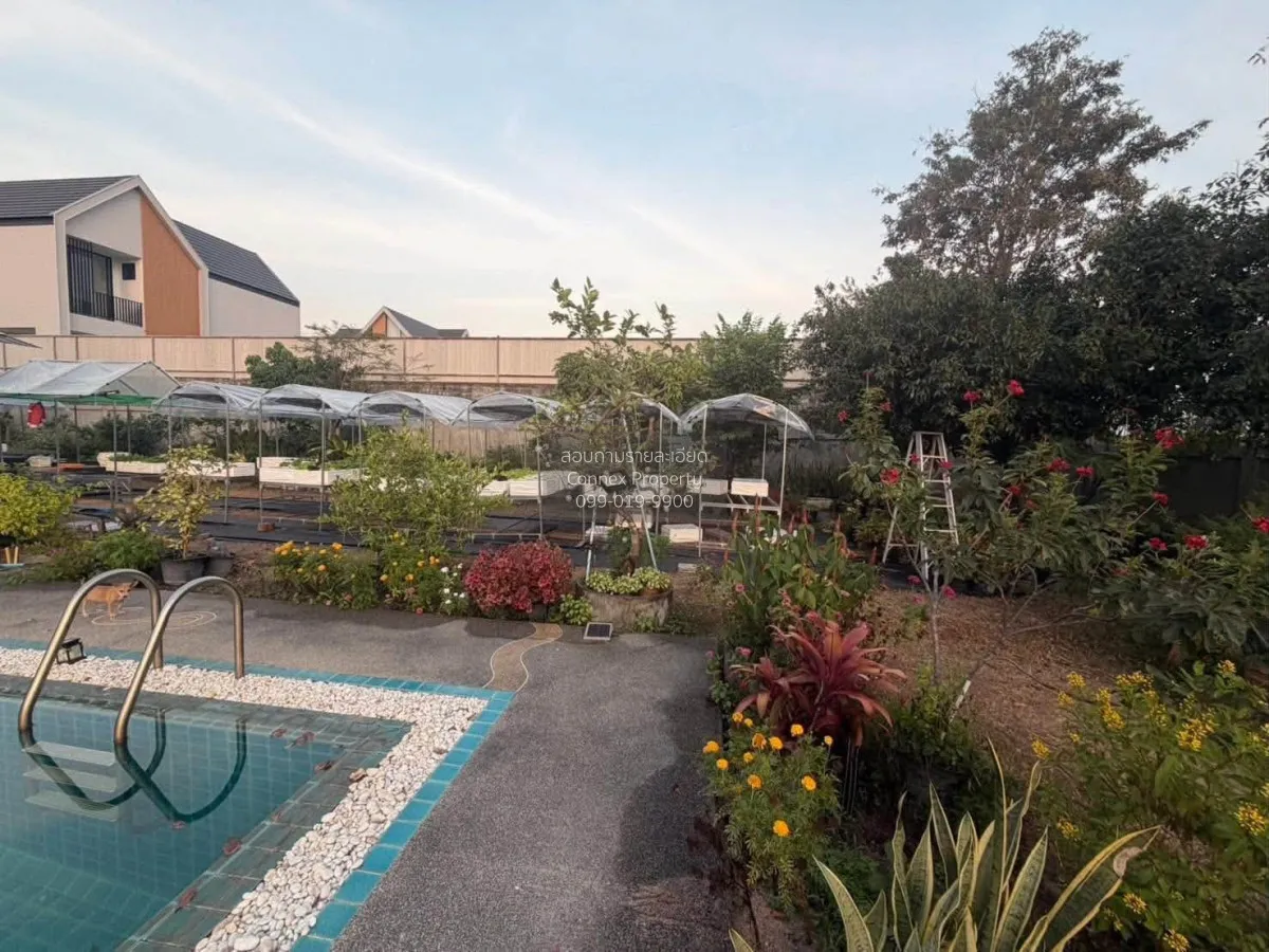For Sale Single - storey house, 400 square wa, Bang Lamung. , Non 4