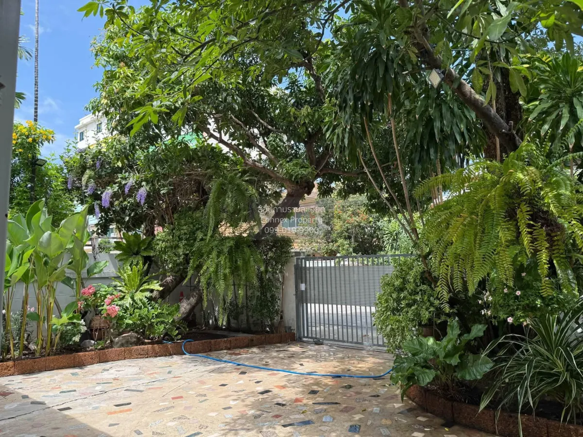 For Rent Detached house for rent, close to The nines rama9 , Suan 3