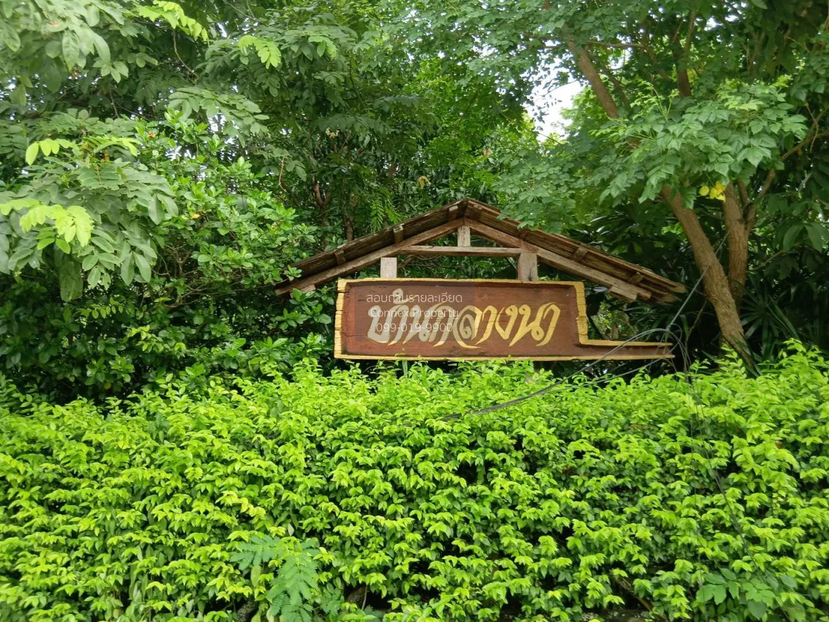 เช่าบ้าน  บ้านสวนสายธาร คลองสาม คลองหลวง ปทุมธานี CX-170743 2