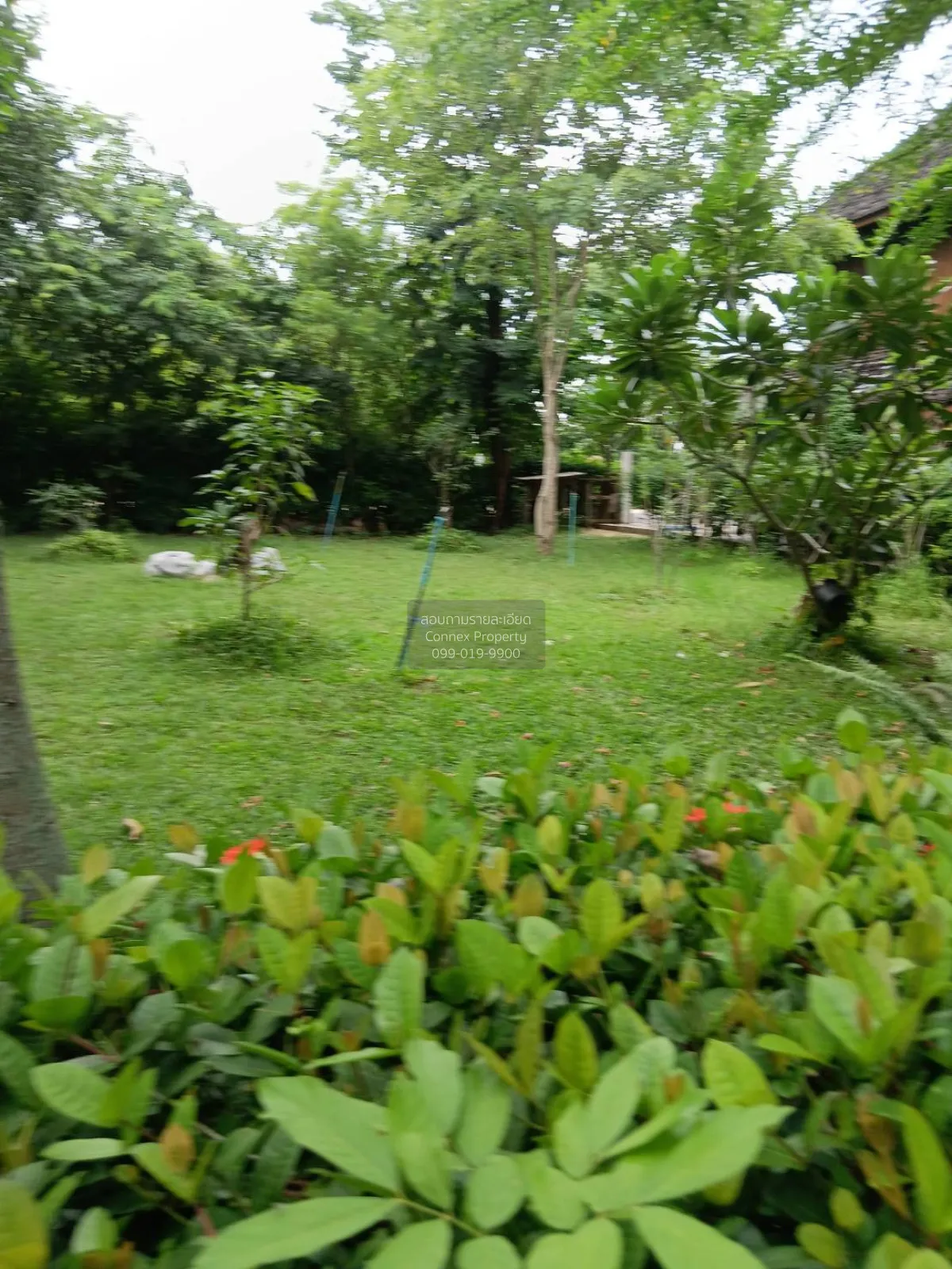 เช่าบ้าน  บ้านสวนสายธาร คลองสาม คลองหลวง ปทุมธานี CX-170743 4