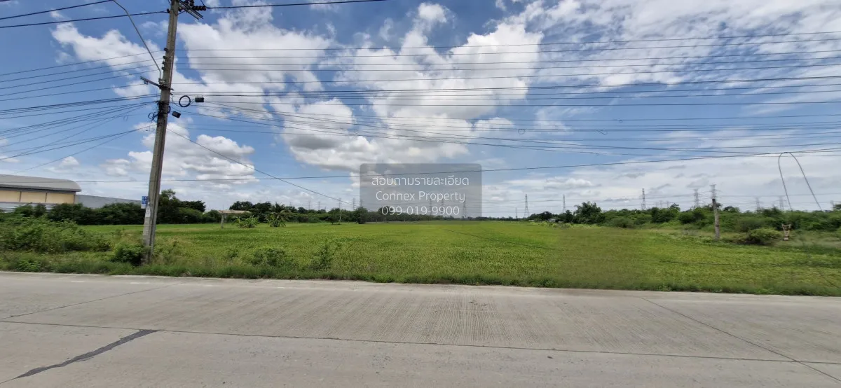 ขายที่ดิน คลองตาน้อย อ.ไทรน้อย ไทรน้อย ไทรน้อย นนทบุรี CX-170886 1
