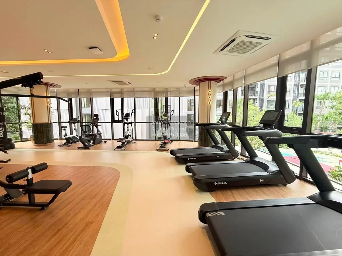 For Rent Condo , The Base Cherng Talay , Choeng Thale , Thalang ,