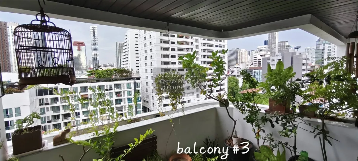 ขายคอนโด  เบเวอรี่ ทาวเวอร์ คอนโด MRT-เพชรบุรี คลองเตยเหนือ เขต ว