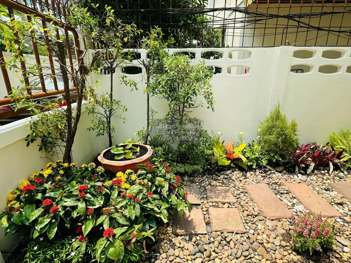 เช่าเช่าบ้านเดี่ยว สุขุมวิท 31 แยก 2 คลองตันเหนือ เขต วัฒนา กรุงเ 3