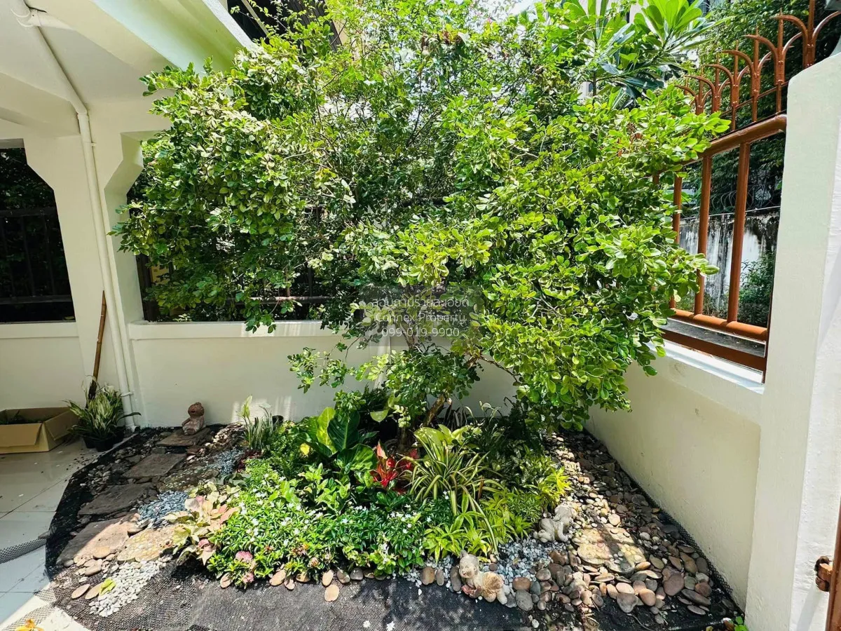 เช่าเช่าบ้านเดี่ยว สุขุมวิท 31 แยก 2 คลองตันเหนือ เขต วัฒนา กรุงเ 4