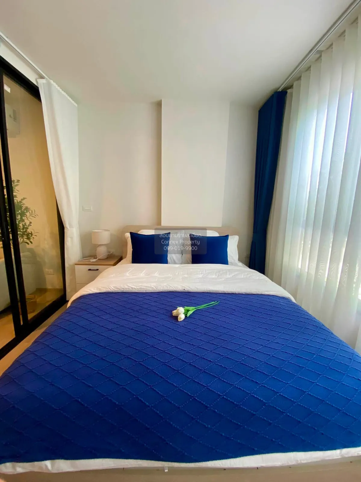For Sale Condo , dcondo reef Phuket , Kathu , Kathu , Phuket , CX