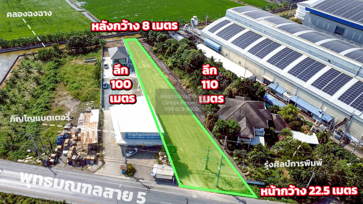 ขายที่ดินพุทธมณฑลสาย 5 ถมแล้ว ไร่ขิง สามพราน นครปฐม CX-171303 1