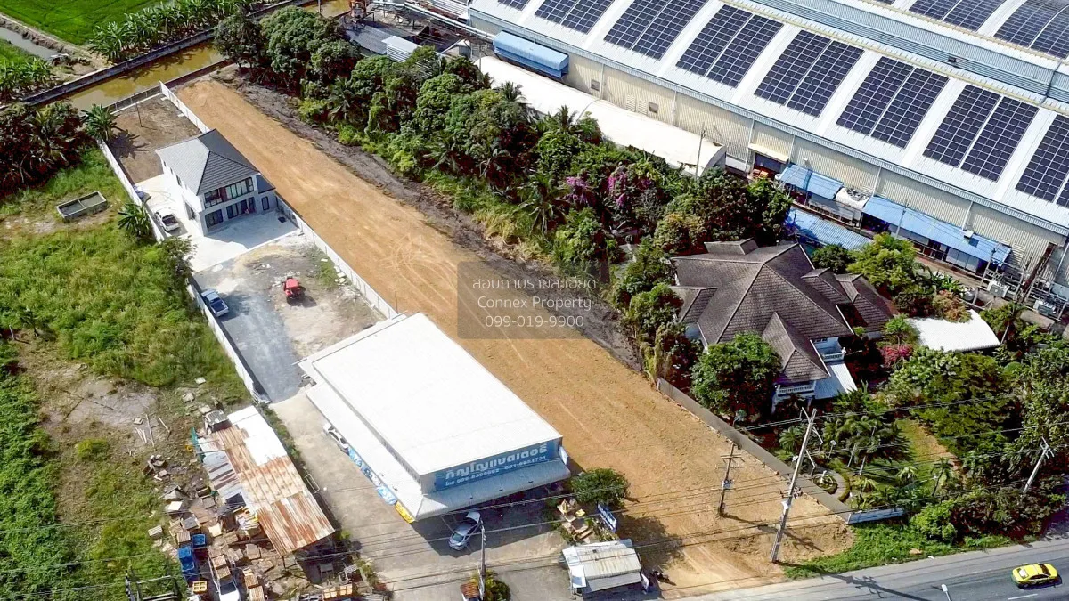 ขายที่ดินพุทธมณฑลสาย 5 ถมแล้ว ไร่ขิง สามพราน นครปฐม CX-171303 4