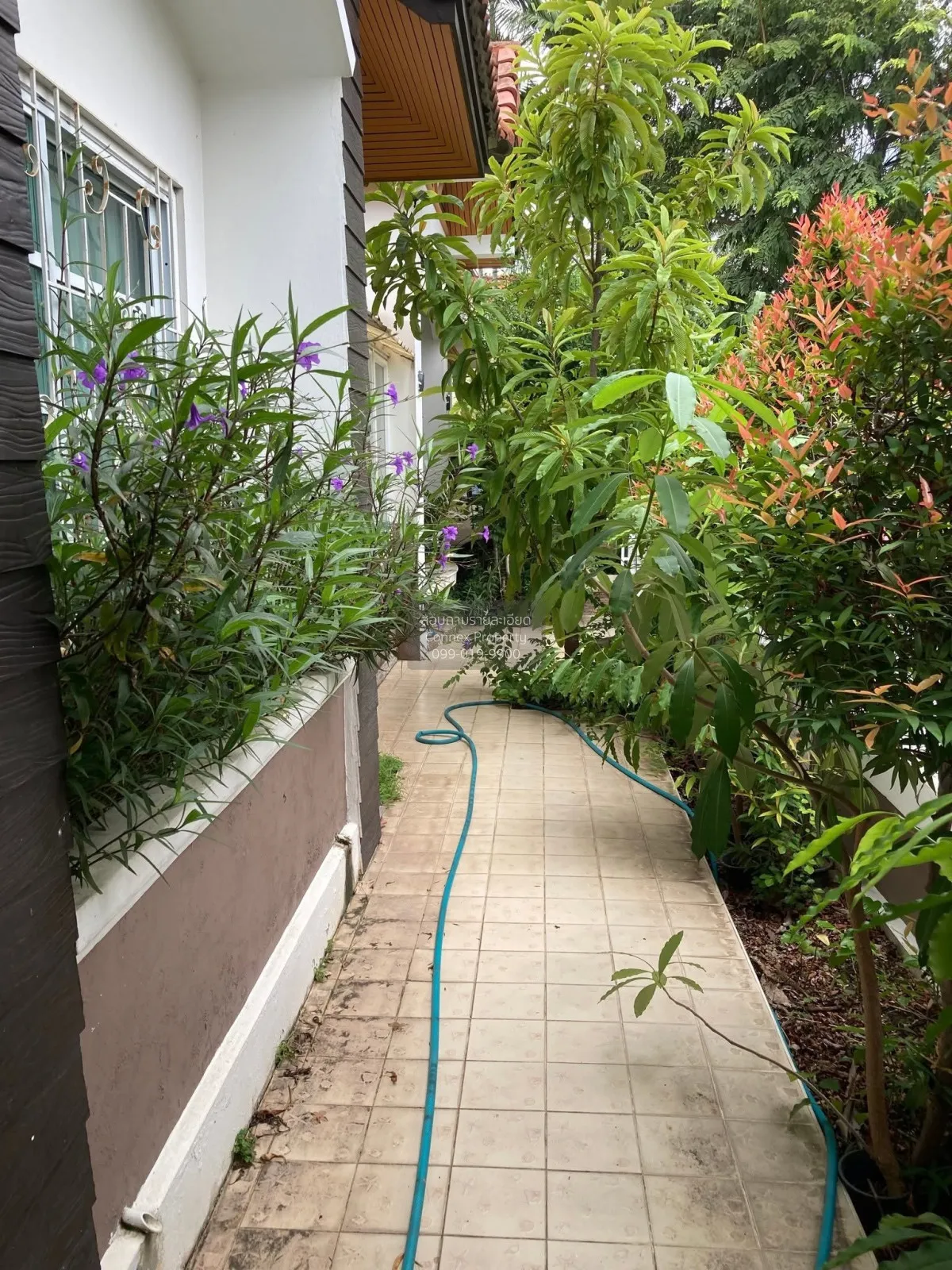 For Sale House , Mike Orchid Villas , Nong Prue , Bang Lamung , C
