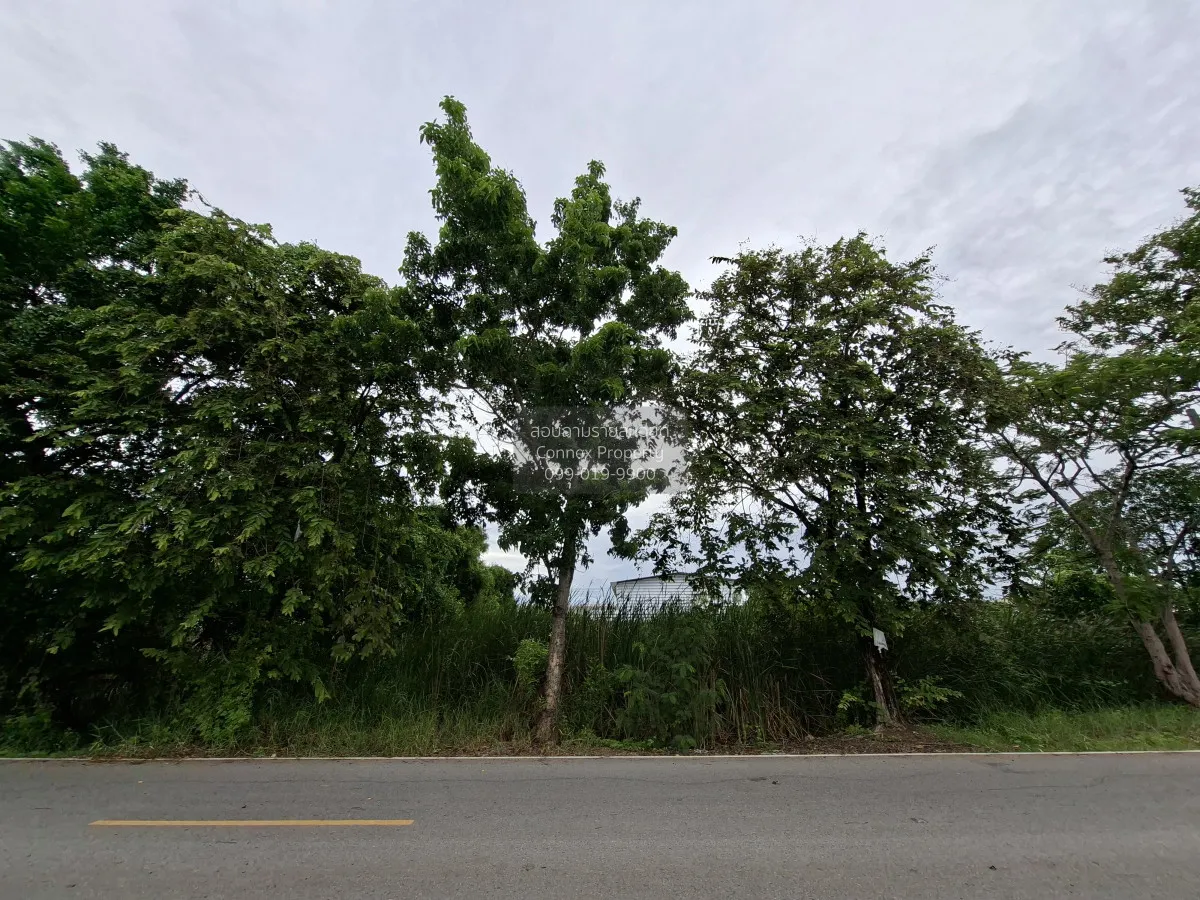 For Sale Vacant land in Lat Lum Kaeo , Khu Bang Luang , Lat Lum K 1