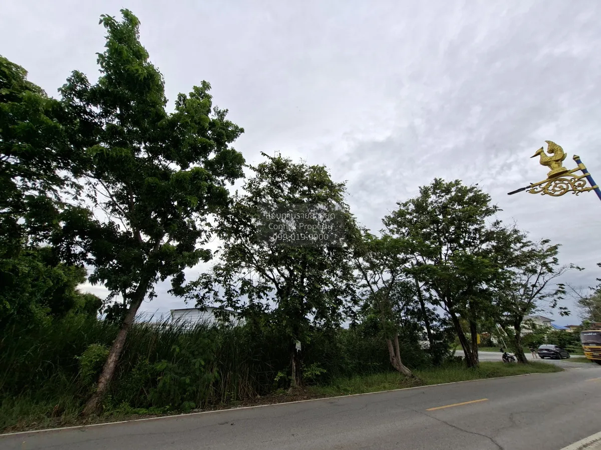 For Sale Vacant land in Lat Lum Kaeo , Khu Bang Luang , Lat Lum K 2