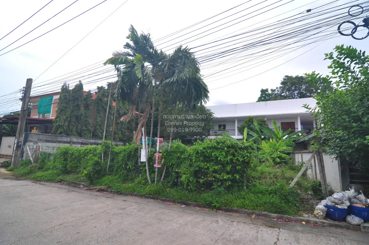 For Sale Land of sukhontee village , Anusawari , Bang Khen , Bang 1