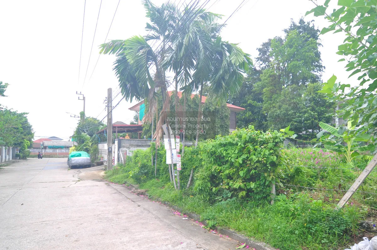 For Sale Land of sukhontee village , Anusawari , Bang Khen , Bang 2