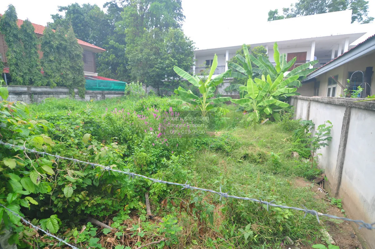 For Sale Land of sukhontee village , Anusawari , Bang Khen , Bang 3